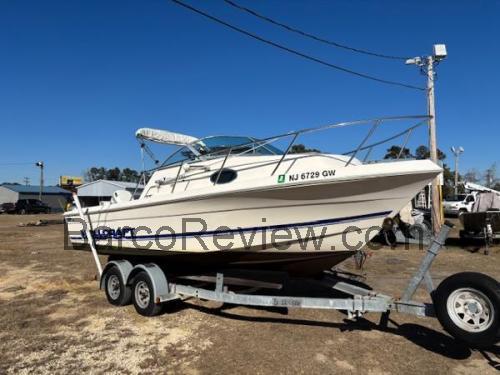 Wellcraft 210 Coastal opinión y ficha técnica